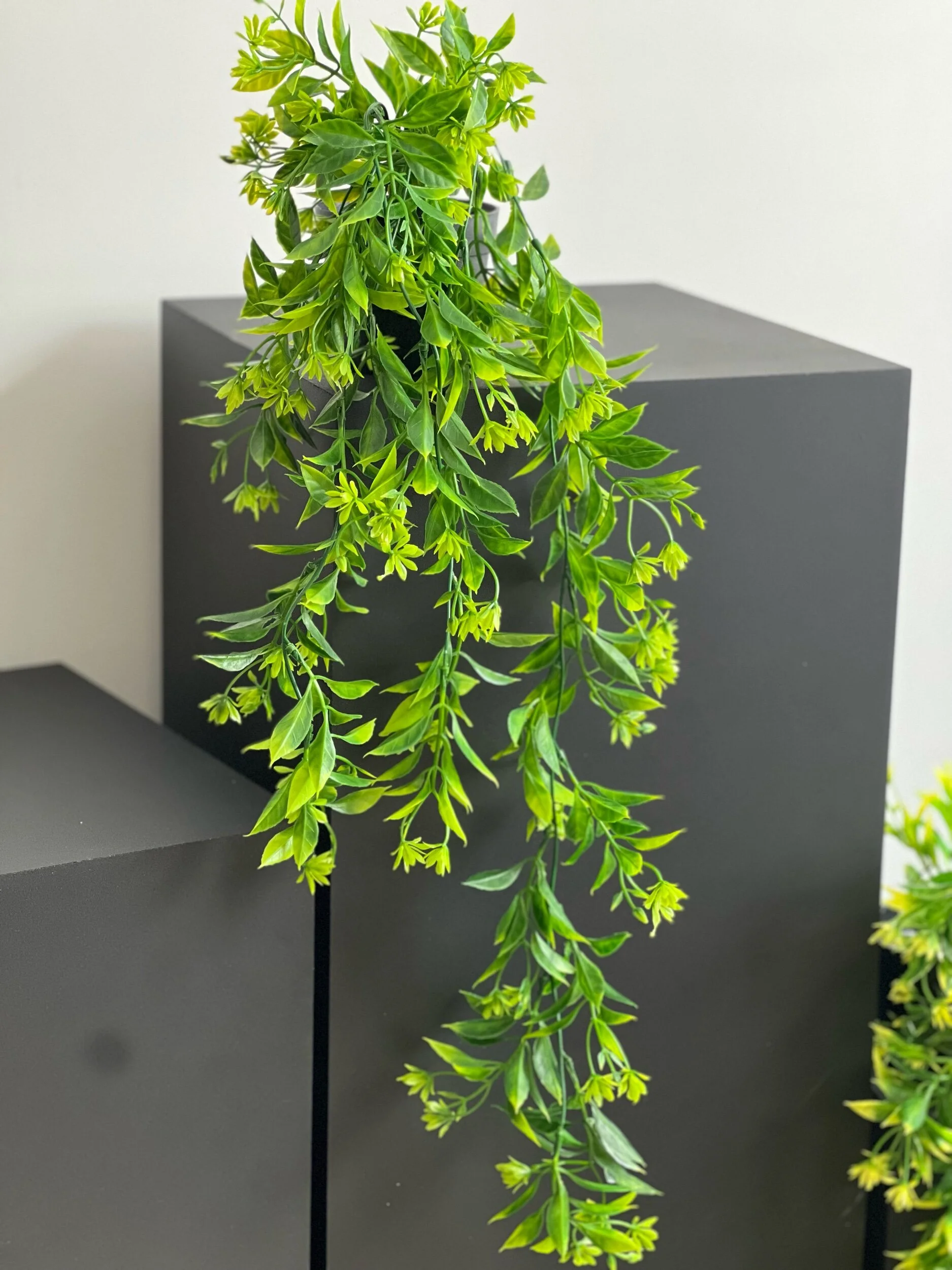 D82EDC5A-ADCF-43BC-B428-BF68DD93FD30