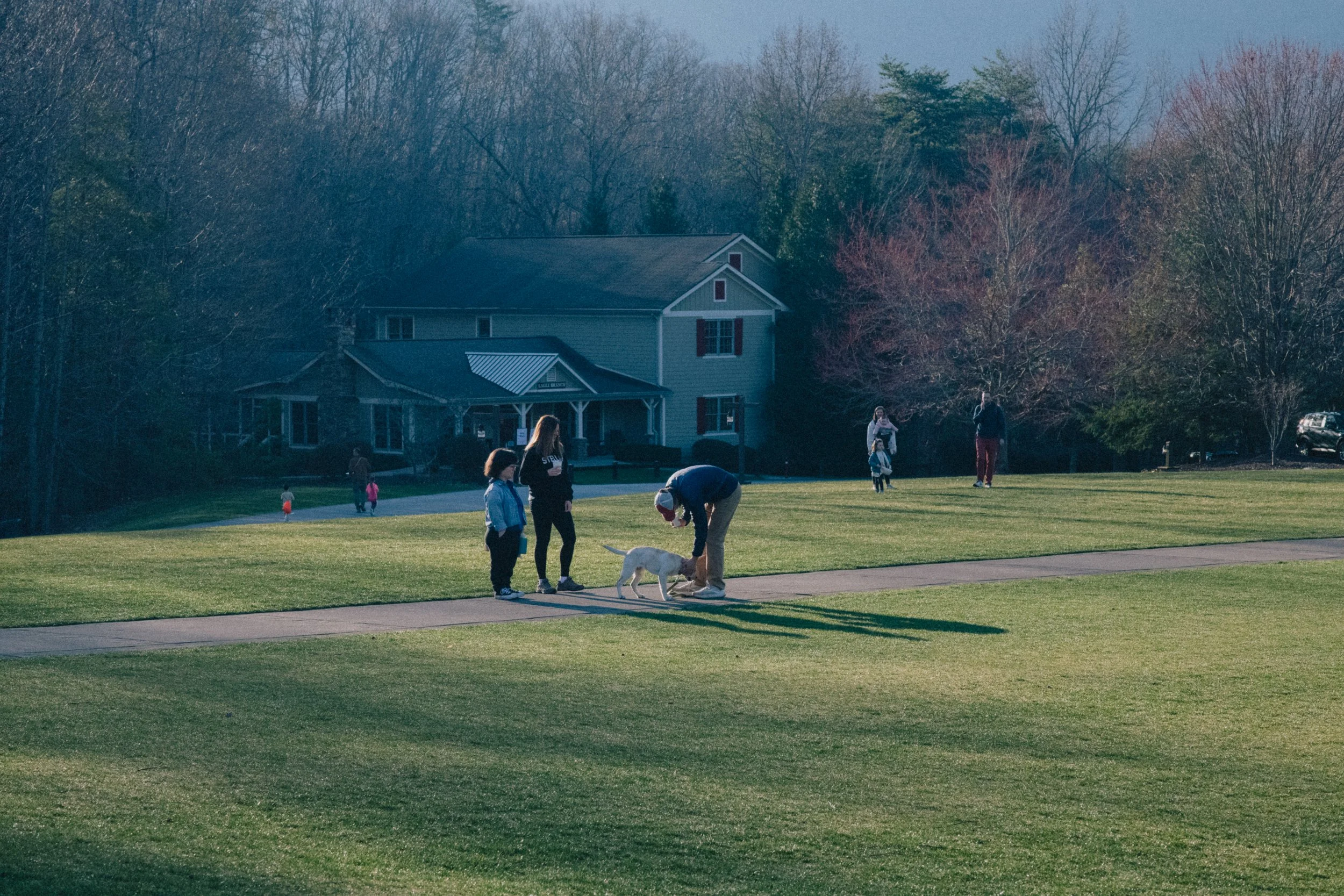 D85_3399.jpg