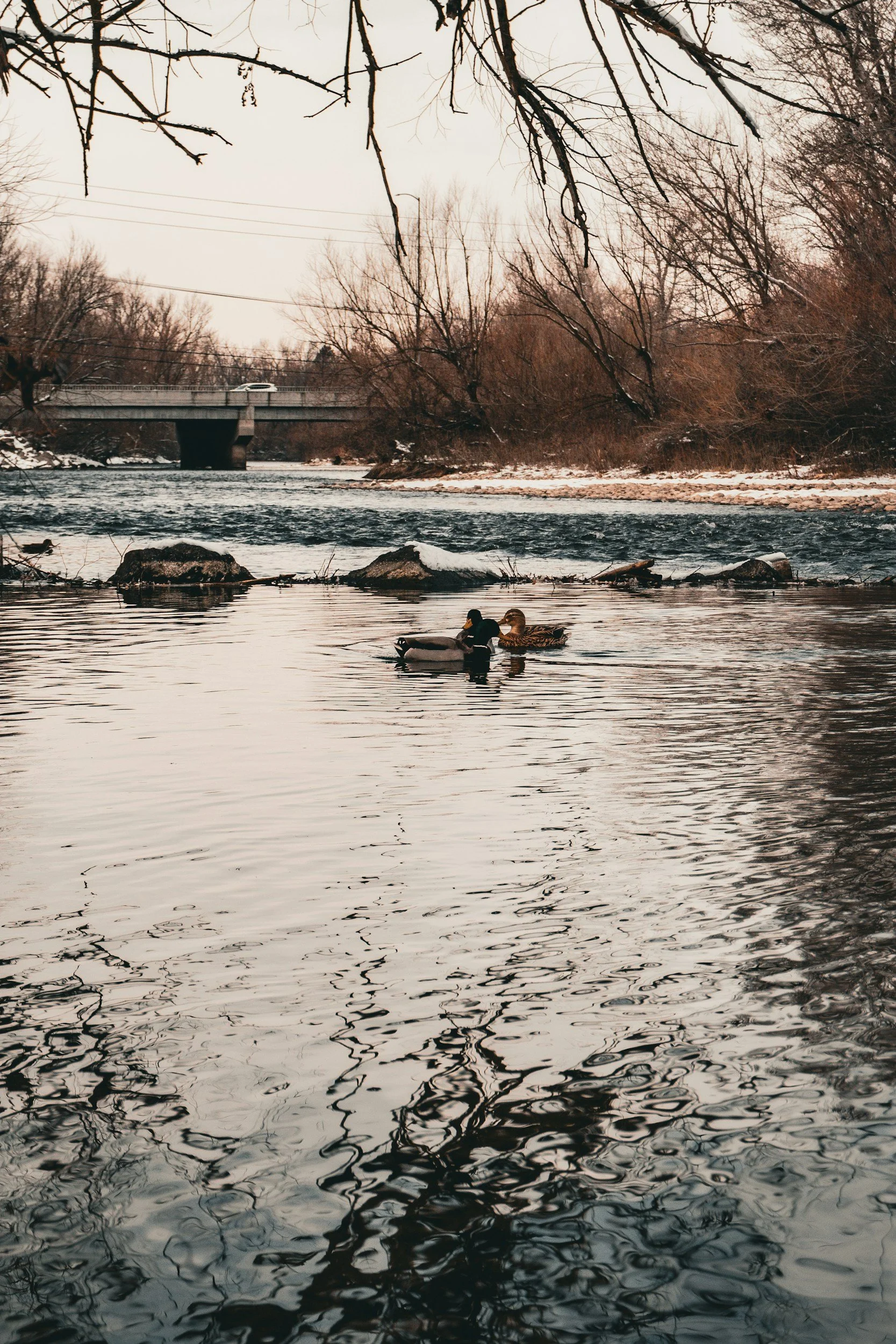 Why Nature Lovers Are Choosing Boise, Idaho