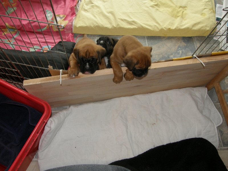 1-26.04.14 5.uge 034.JPG