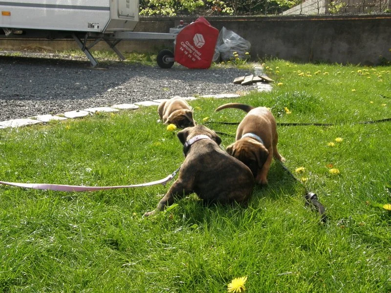 1-26.04.14 5.uge 057.JPG