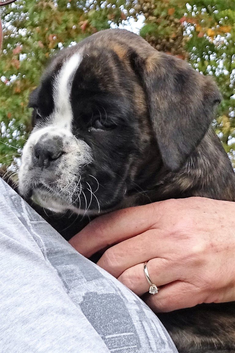 DSC08937 (Medium).jpeg