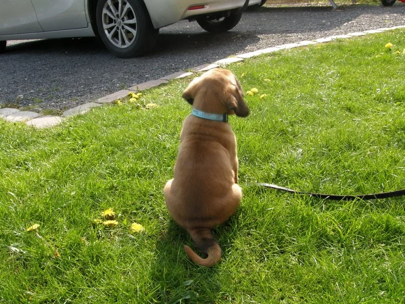 1-26.04.14 5.uge 061.JPG