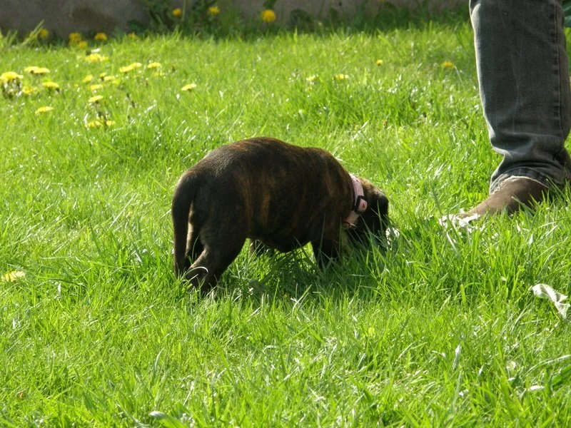 1-26.04.14 5.uge 059.JPG