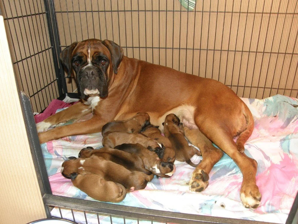 Carmen med den nyfødte S-bande. 