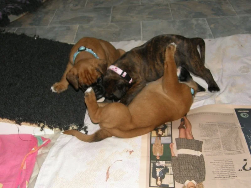 1-26.04.14 5.uge 026.JPG