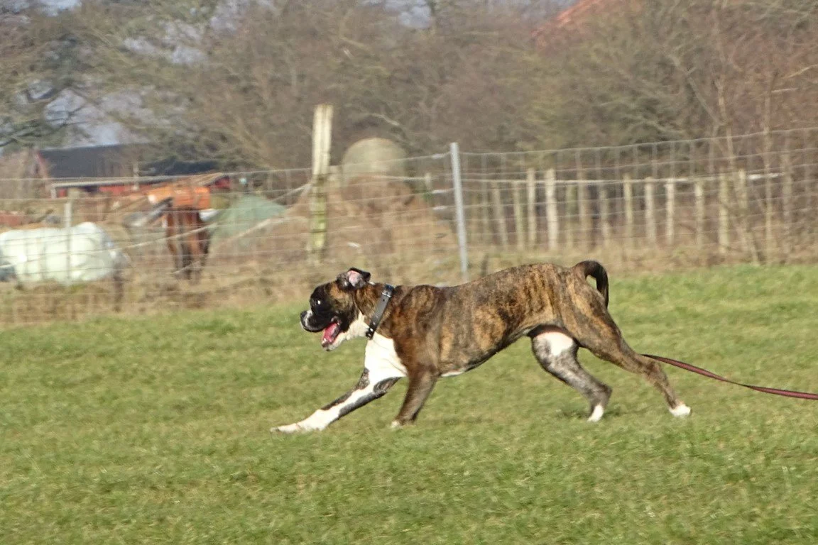 DSC01131 (Medium).jpeg