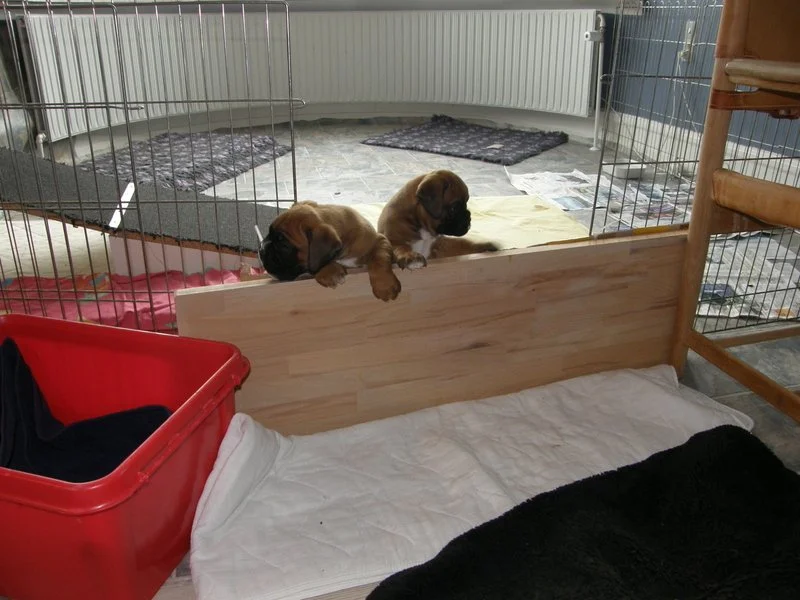 1-26.04.14 5.uge 033.JPG