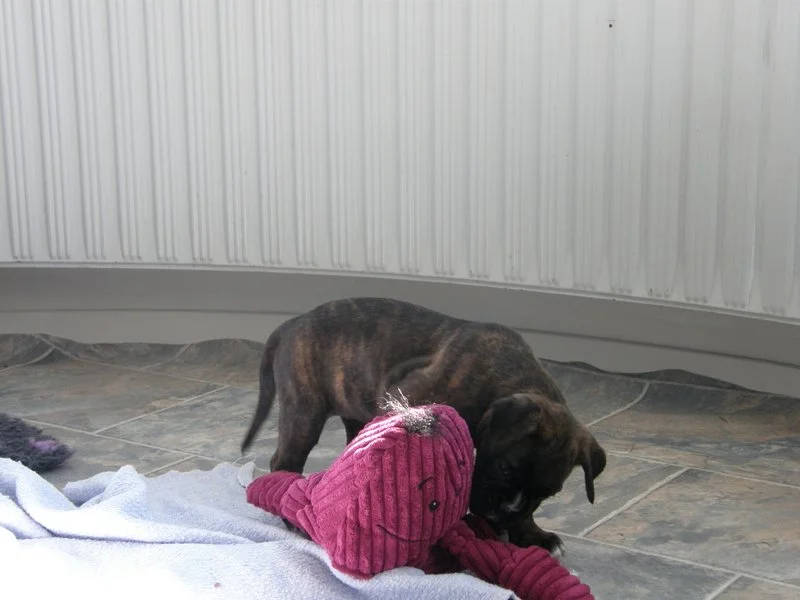 1-26.04.14 5.uge 044.JPG