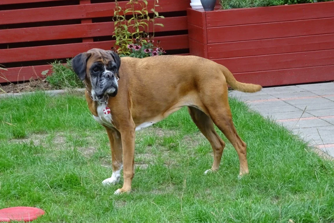 DSC08643 (Medium).jpeg