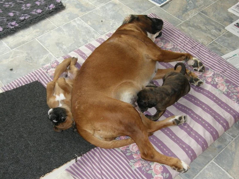 1-26.04.14 5.uge 001.JPG