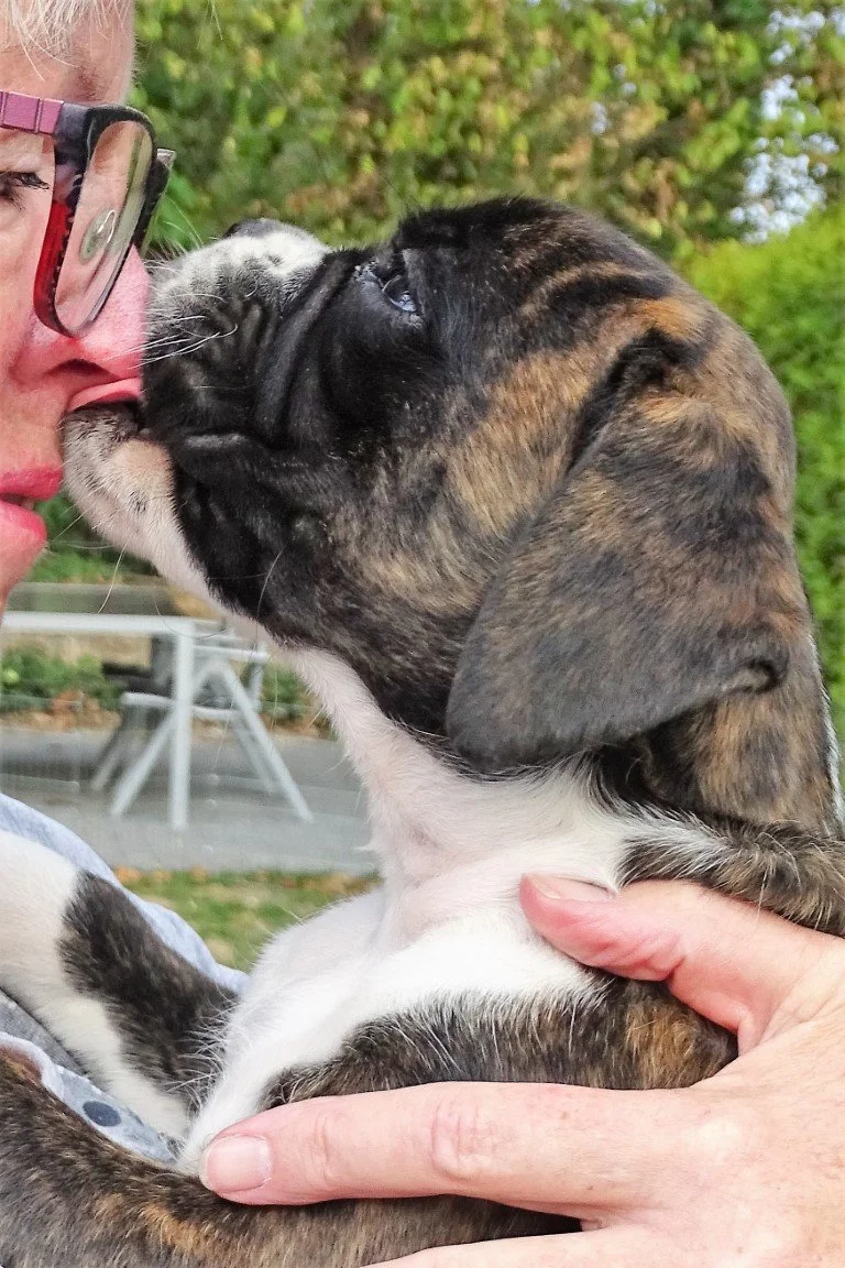 DSC08938 (Medium).jpeg