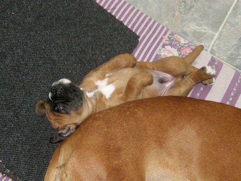 1-26.04.14 5.uge 002.JPG