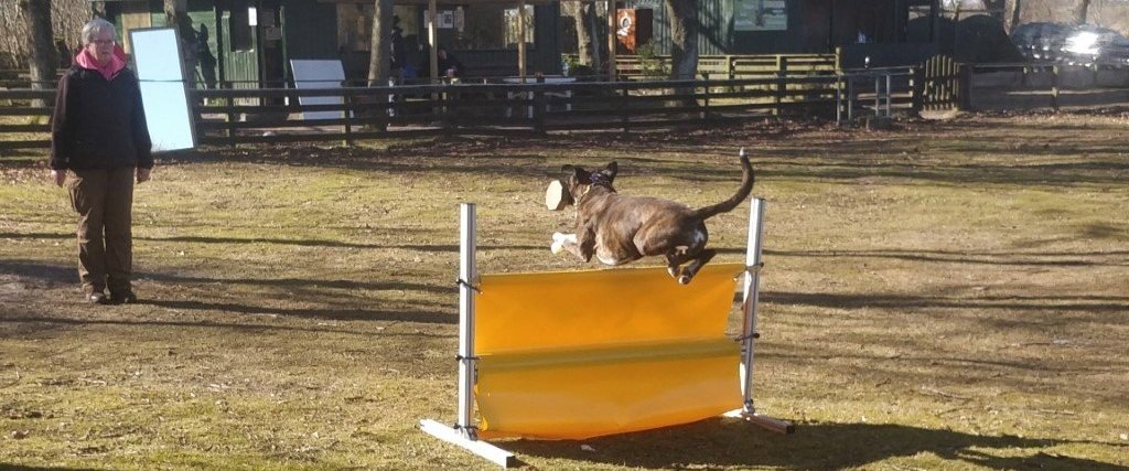 fortvivlelse Høre fra Foran Kennel BoxUnix