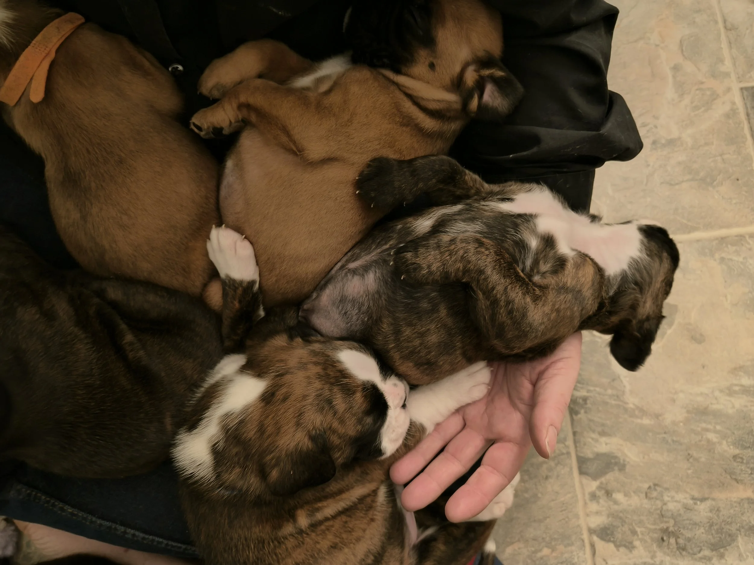 IMG20241213224227.jpg