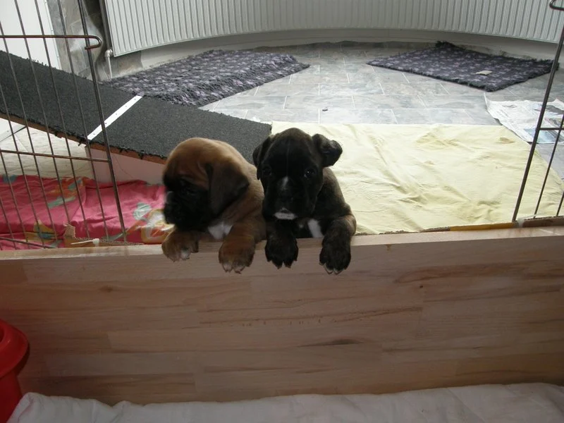 1-26.04.14 5.uge 036.JPG