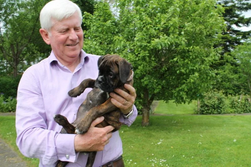 1-2014 maj amber boxer 052.JPG