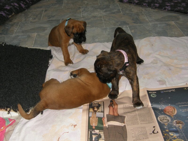 1-26.04.14 5.uge 024.JPG