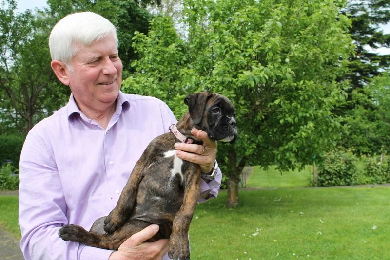 1-2014 maj amber boxer 051.JPG