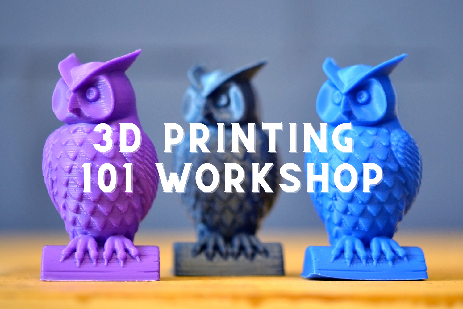 3D Printing 101 Workshop (Ages 8+)
