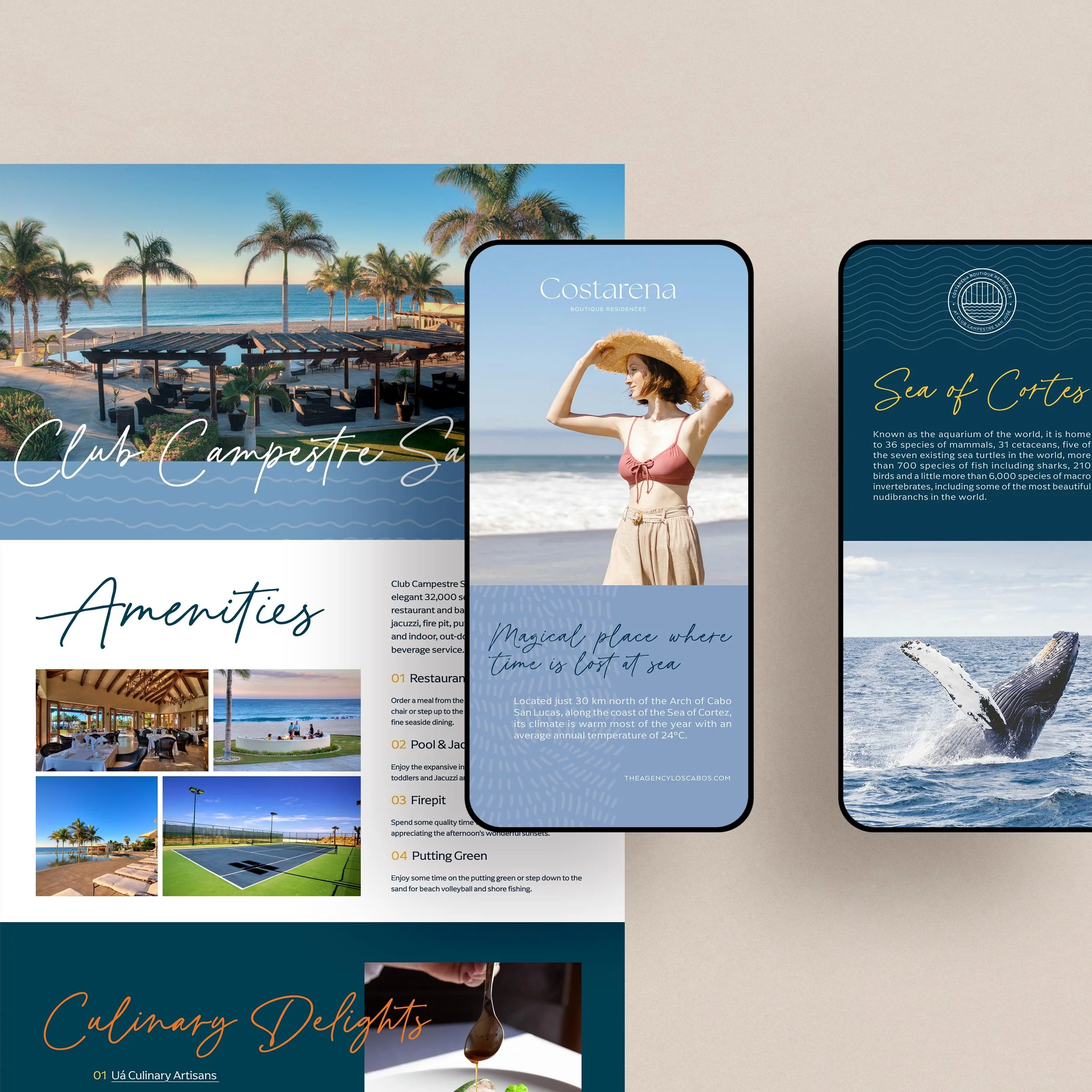 behagen-Branding-and-Marketing-for-Real-Estate-Costarena-Los-Cabos-18.jpg