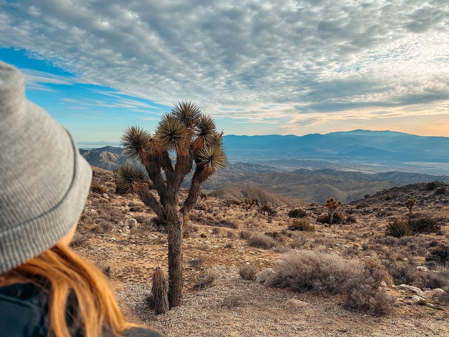 Joshua Tree National Park has been on my travel list for so many years, and our time there was everything I&rsquo;d hoped for and more. We spent 2.5 days in the park, and I don&rsquo;t think we&rsquo;ve ever been so tired or so excited to wake up and