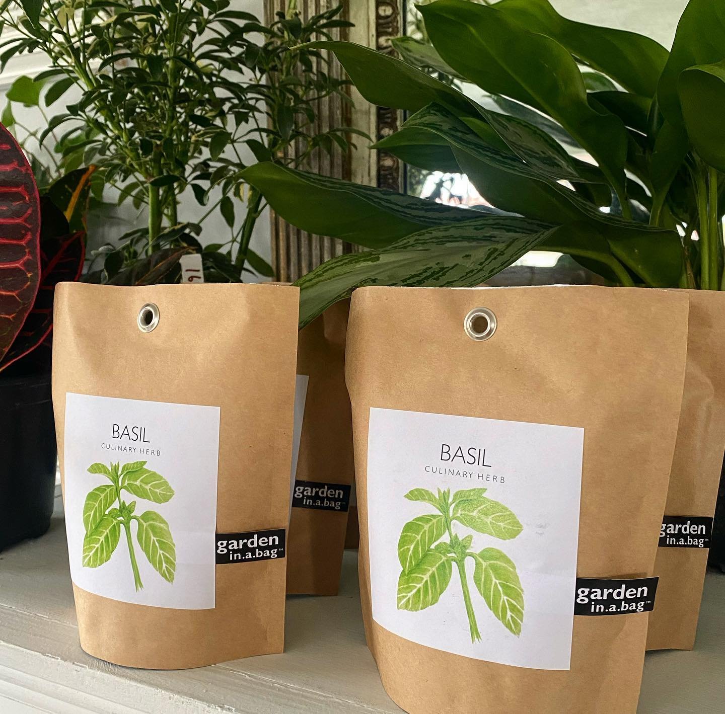 GARDEN IN A BAG! Now available at Blossom Nurseries 📍

Basil garden allows you to conveniently grow hearty, sweet smelling Basil all summer long, with no mess🌿

Moms garden will grow beautiful Zinnia flowers, the sweetest gift for Mother&rsquo;s Da