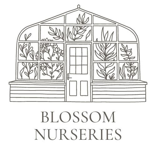 Blossom Nurseries 