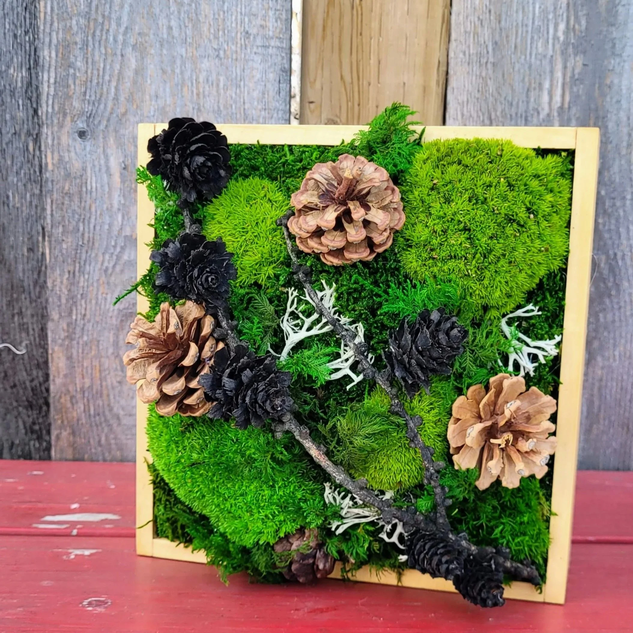 Wooden frame with green moss and pine cones