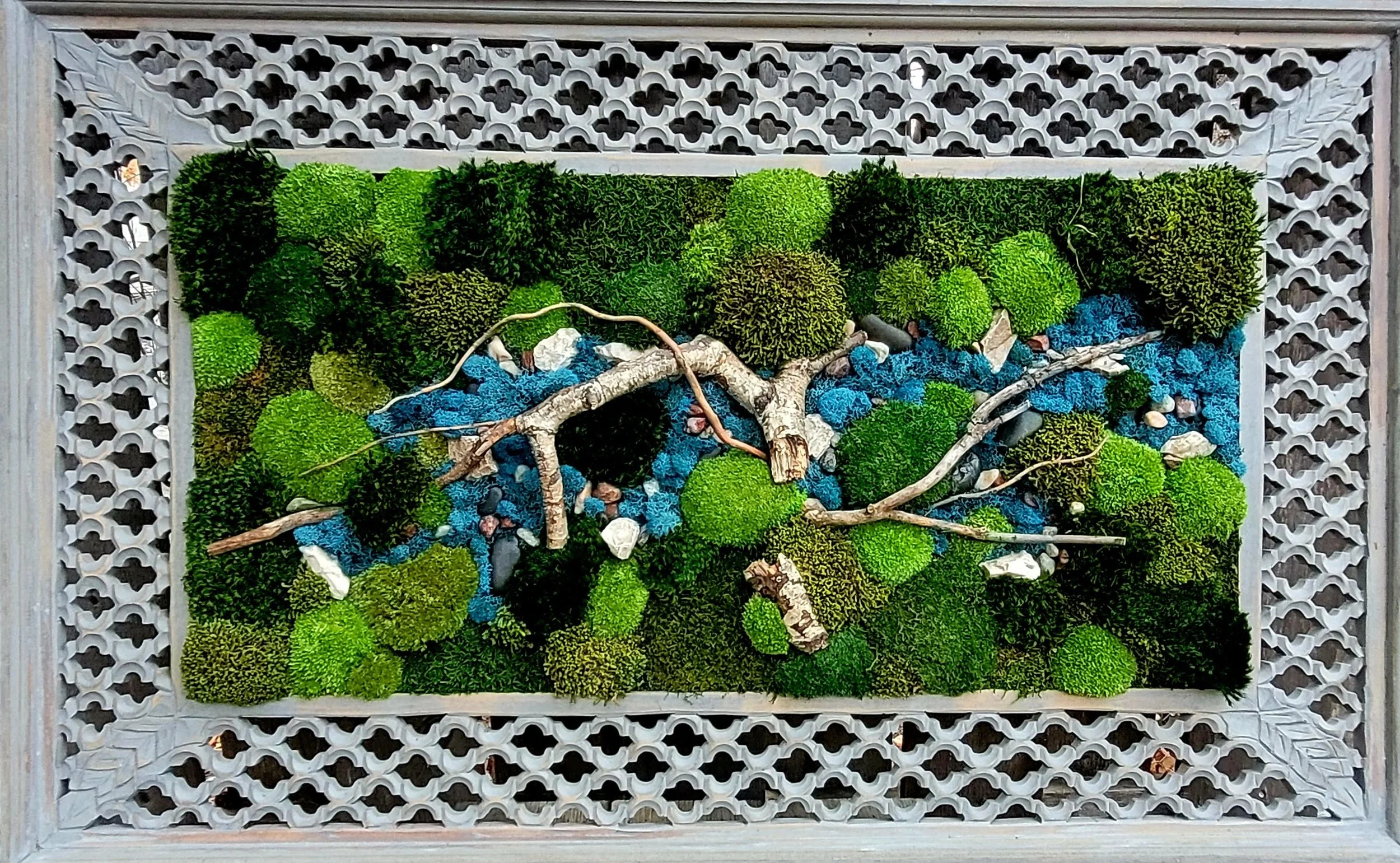 20231105_152615.jpg