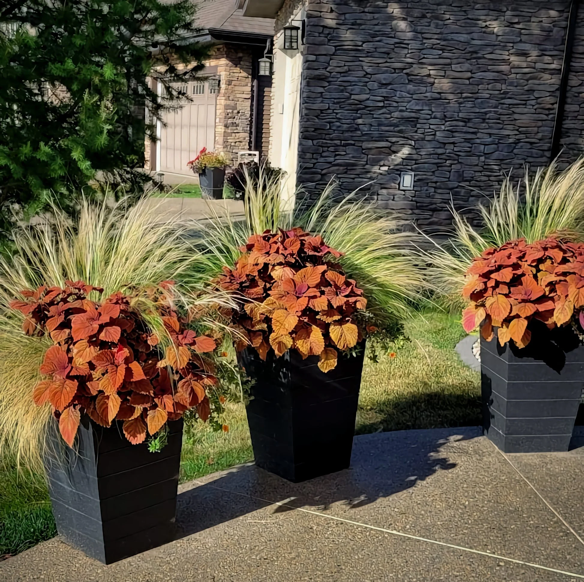 Three tall black planters with orange and red foliage and ornamental grass, set on a stone patio near a house with stone walls and a garage.