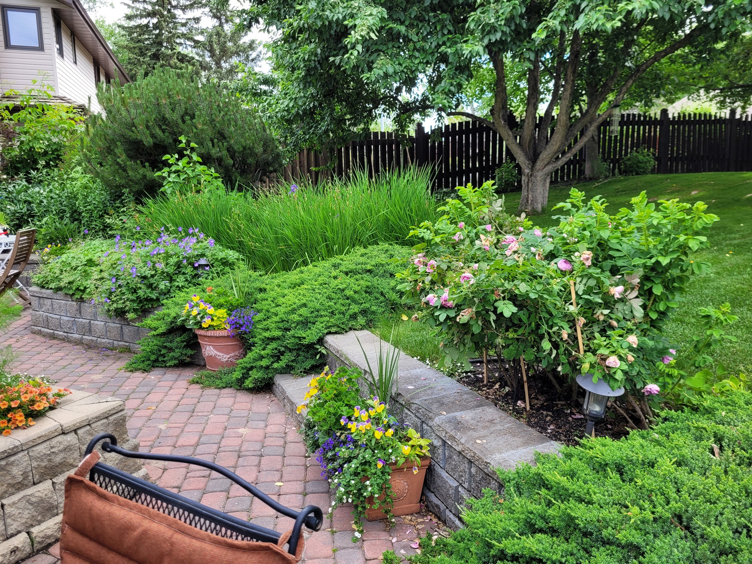 Lush outdoor garden with green shrubs, pink and purple flowers, and potted plants along a red brick pathway. A tree and wooden fence are in the background, with patio furniture partially visible.