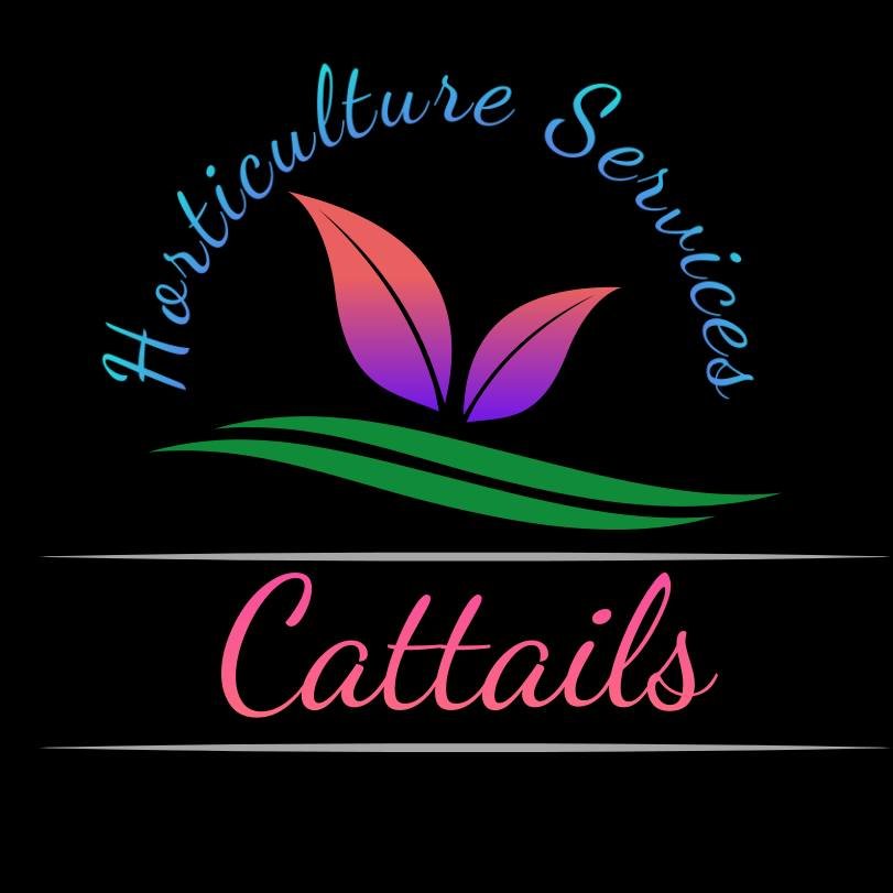 Cattails Services 
