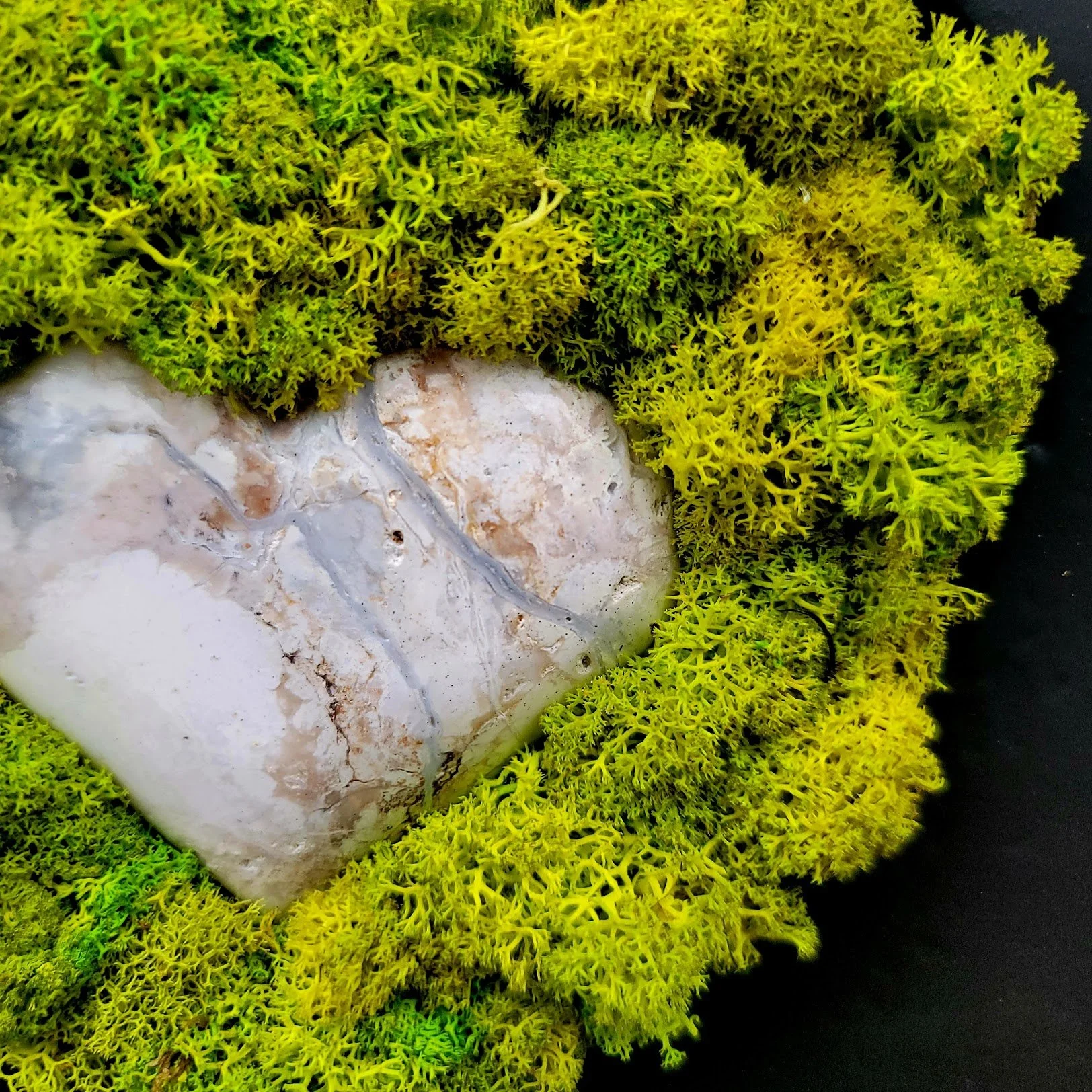 Heart-shaped stone surrounded by green moss.