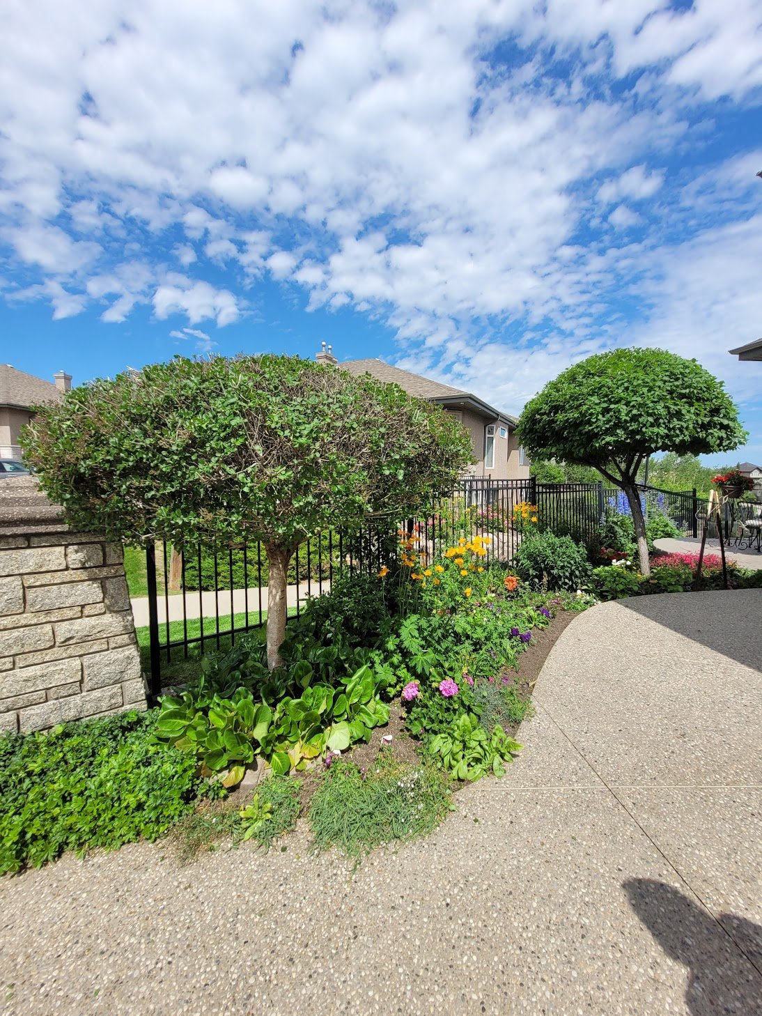Suburban garden with trees, colorful flowers, and stone pavement under a partly cloudy sky.