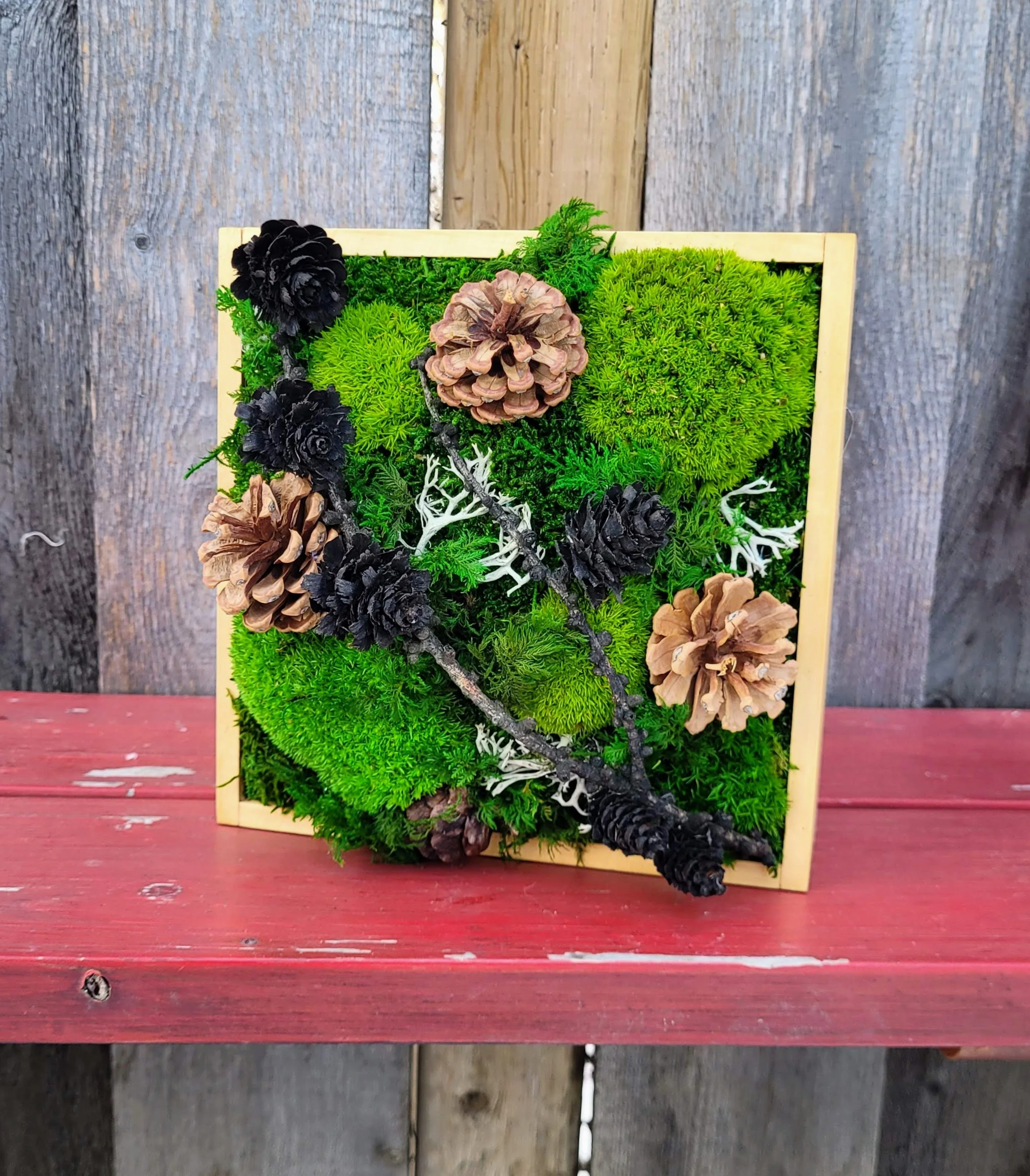 Wooden frame with green moss and pine cones