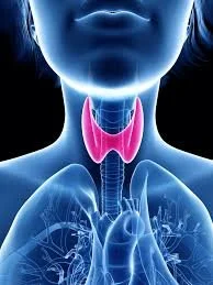 Thyroid Function Tests (TFT)