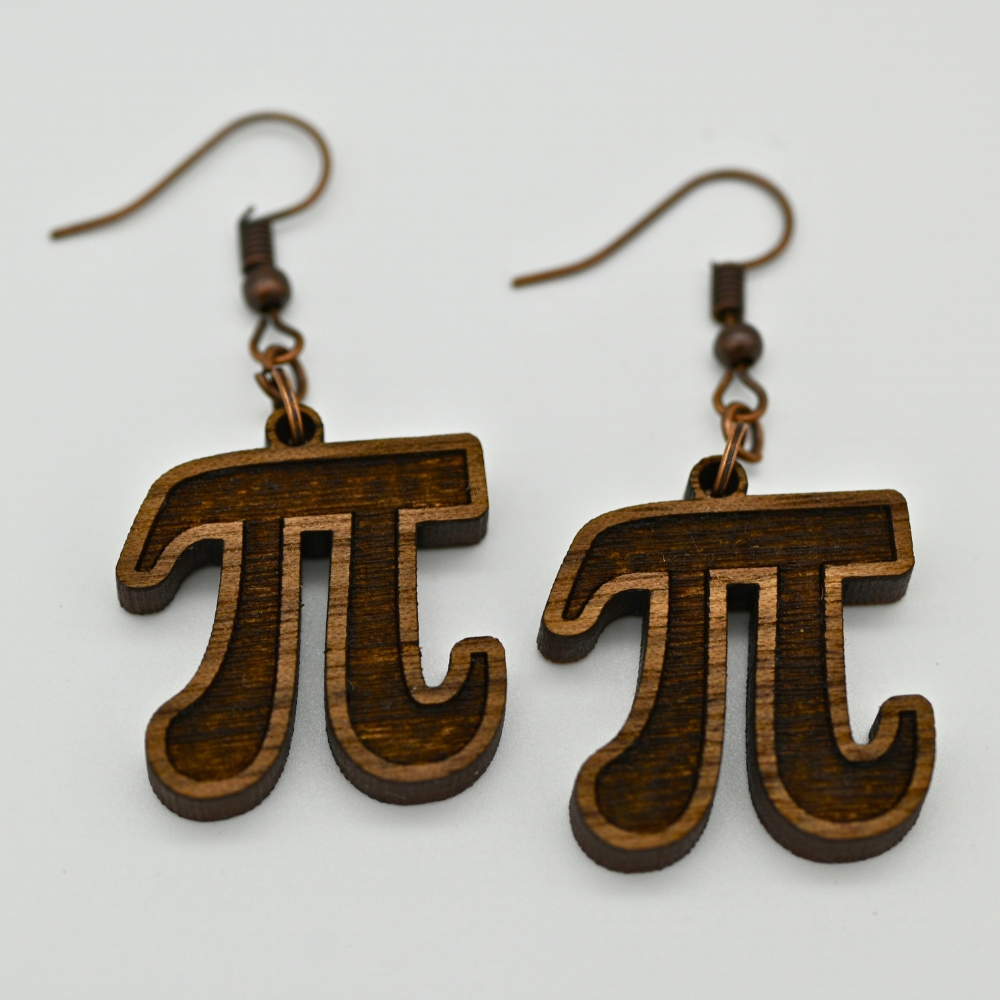 Math & Data Themed Earrings