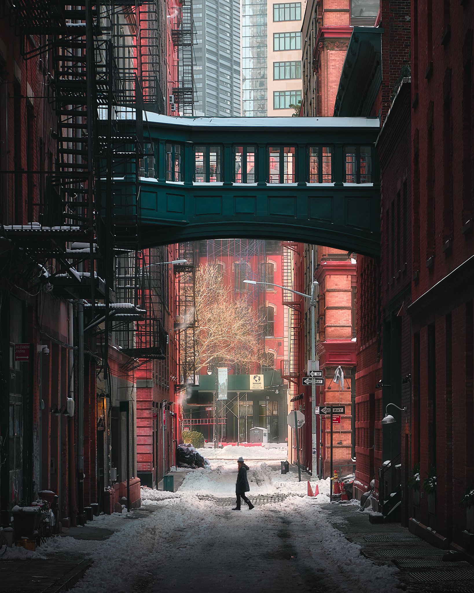 Winter Scenes in NYC