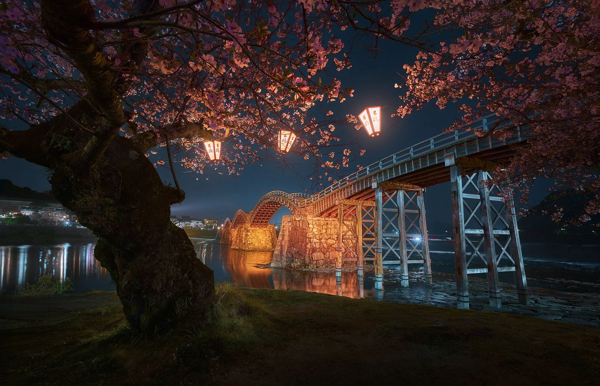 A night in bloom