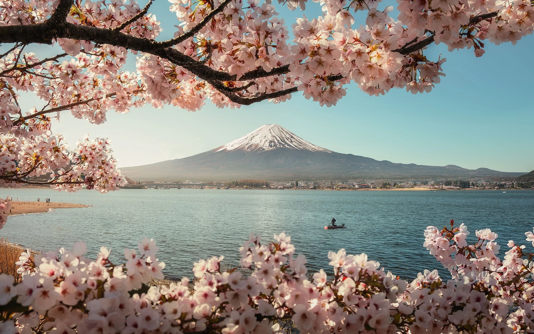 Beauty Has an Ending