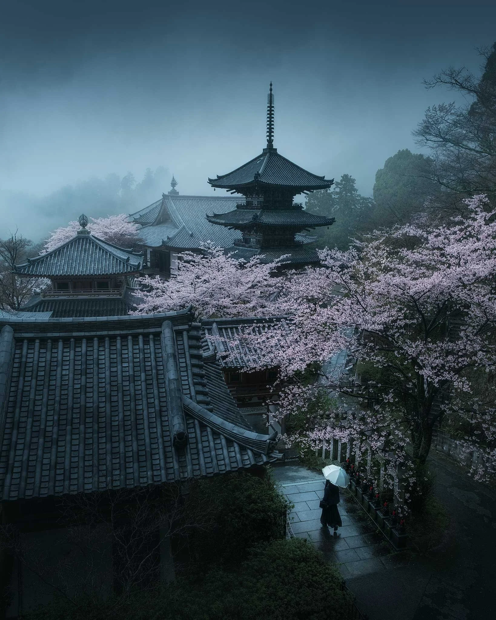 Mystic Bloom