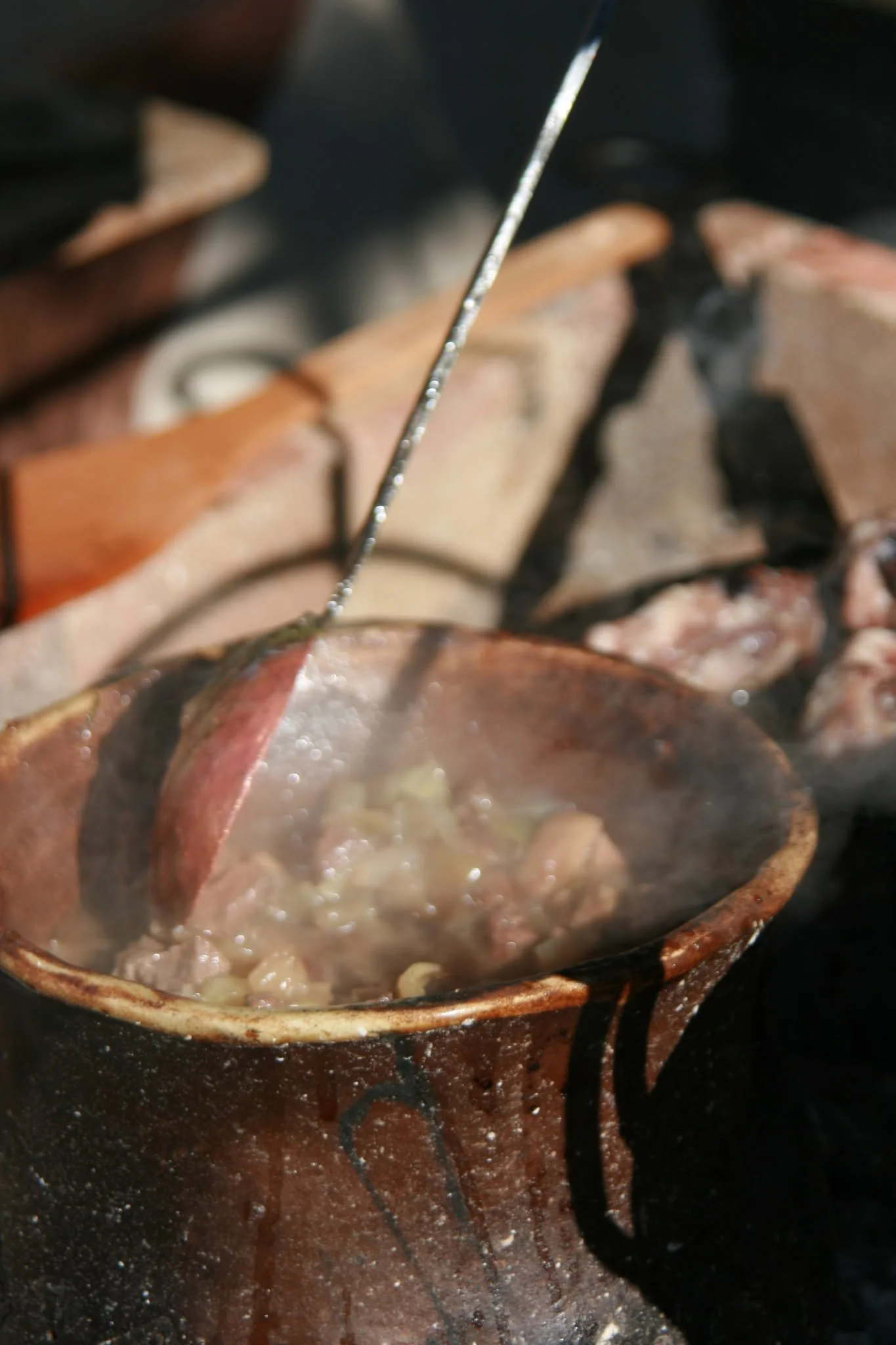 venison stew.jpg