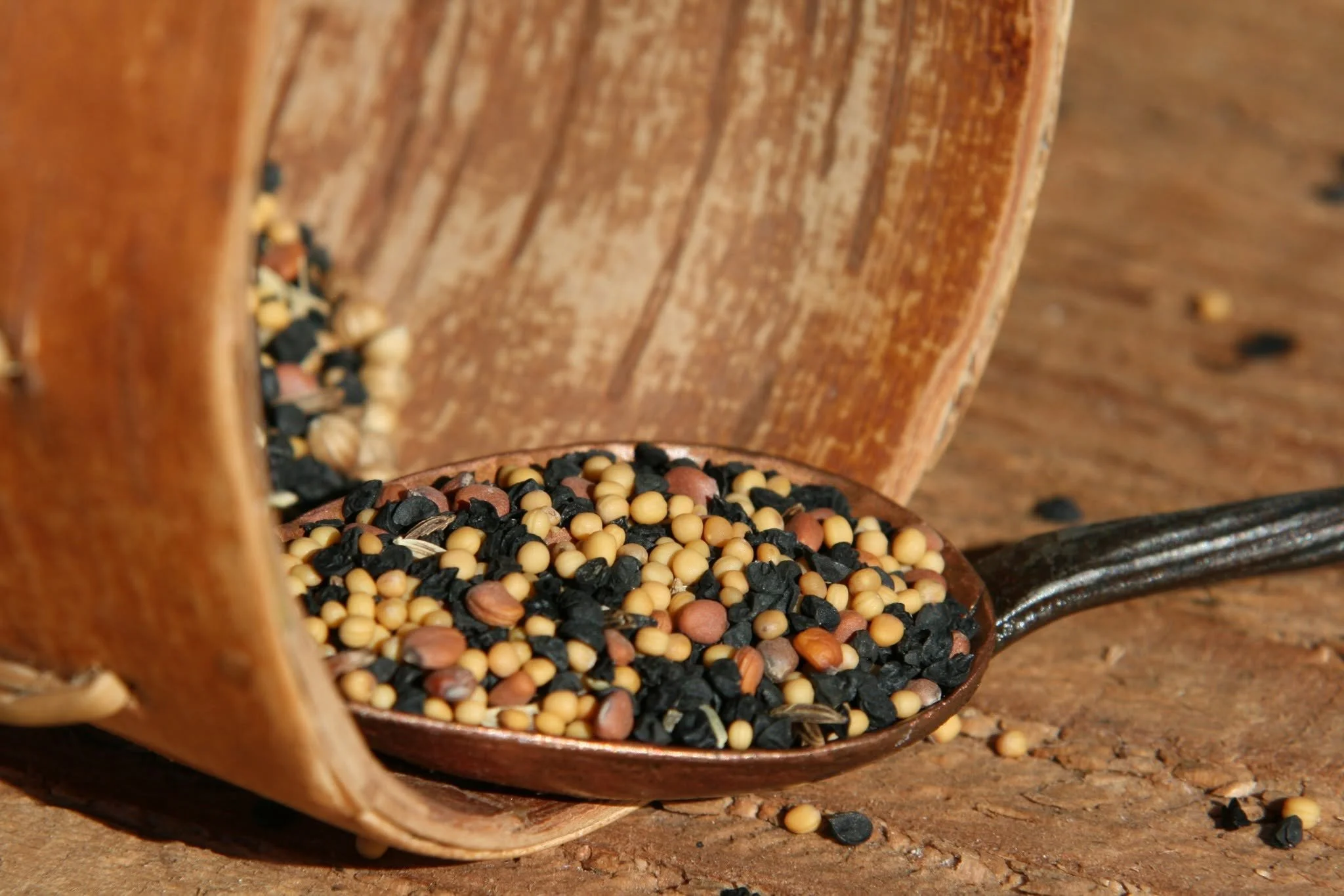 Seeds