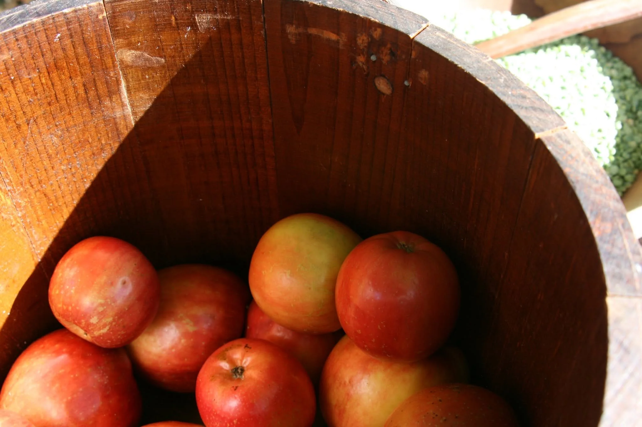 apples.jpg