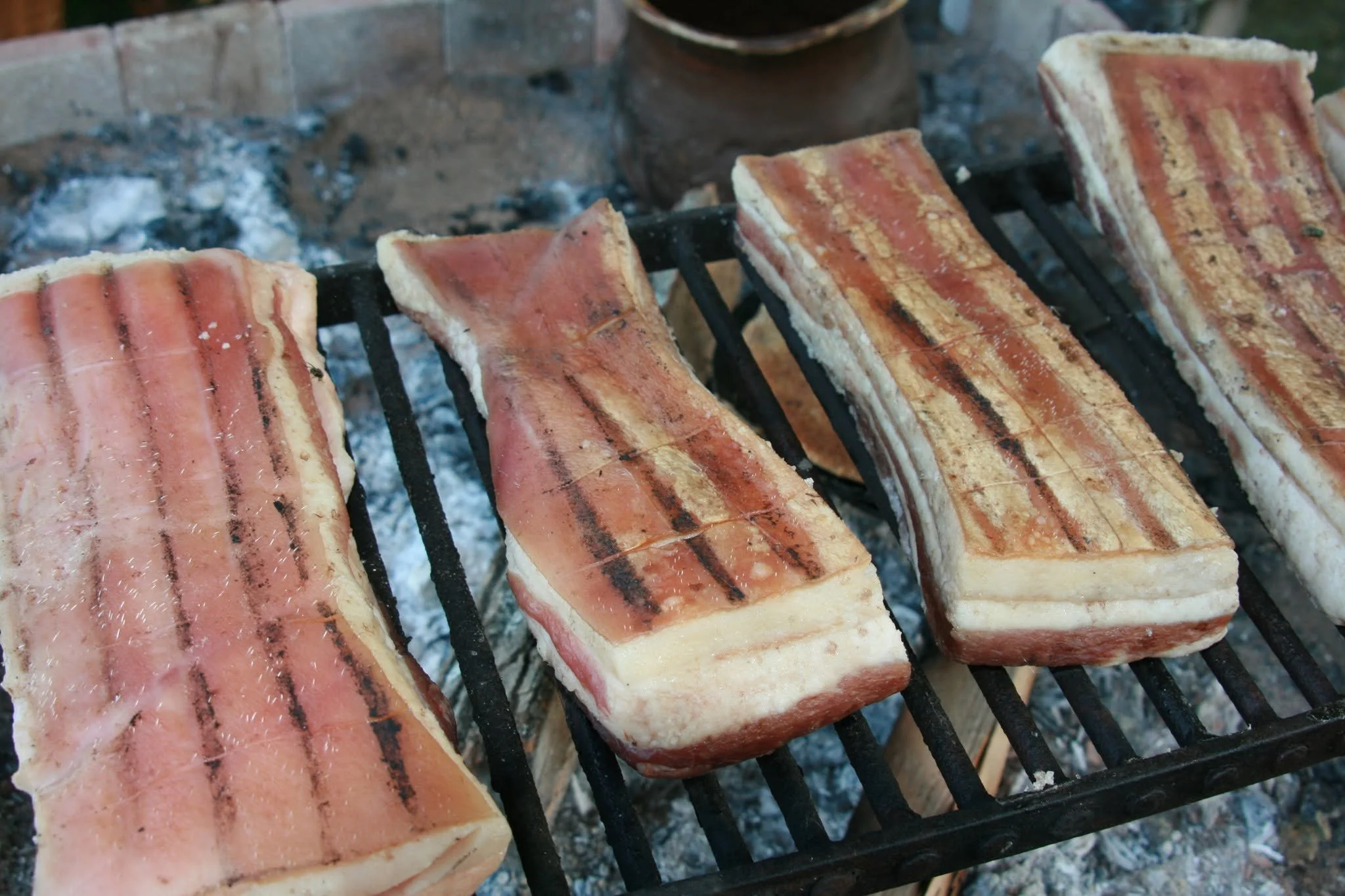 First stage of salted and smoked pork belly