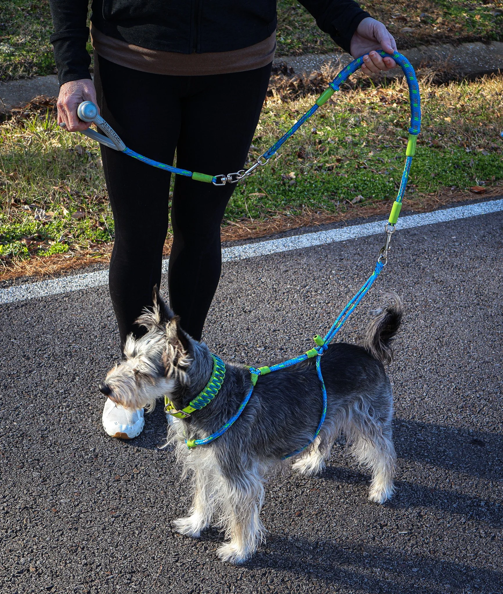 Bungee Leash