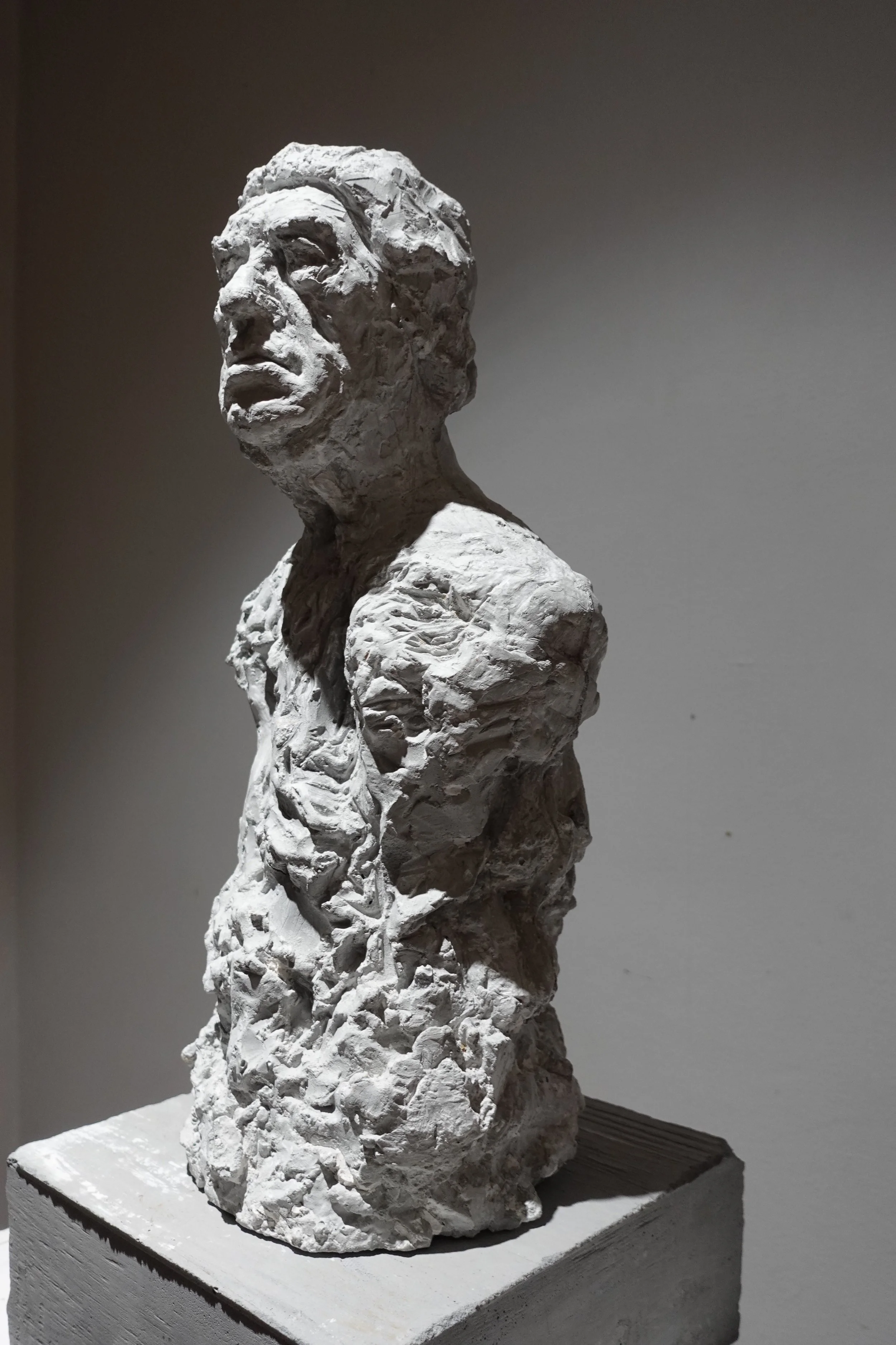 David Paolini