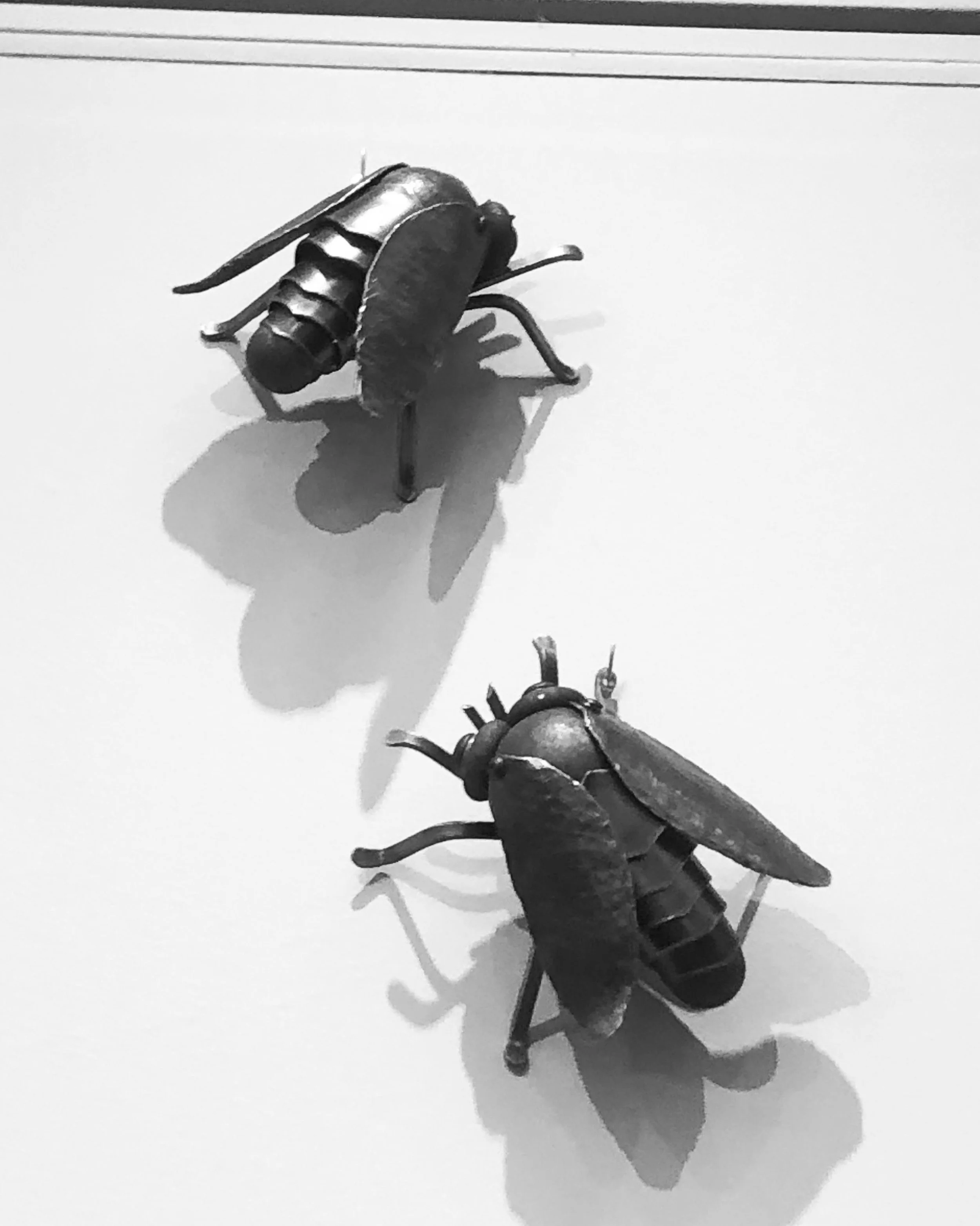 Brendan Duggan
