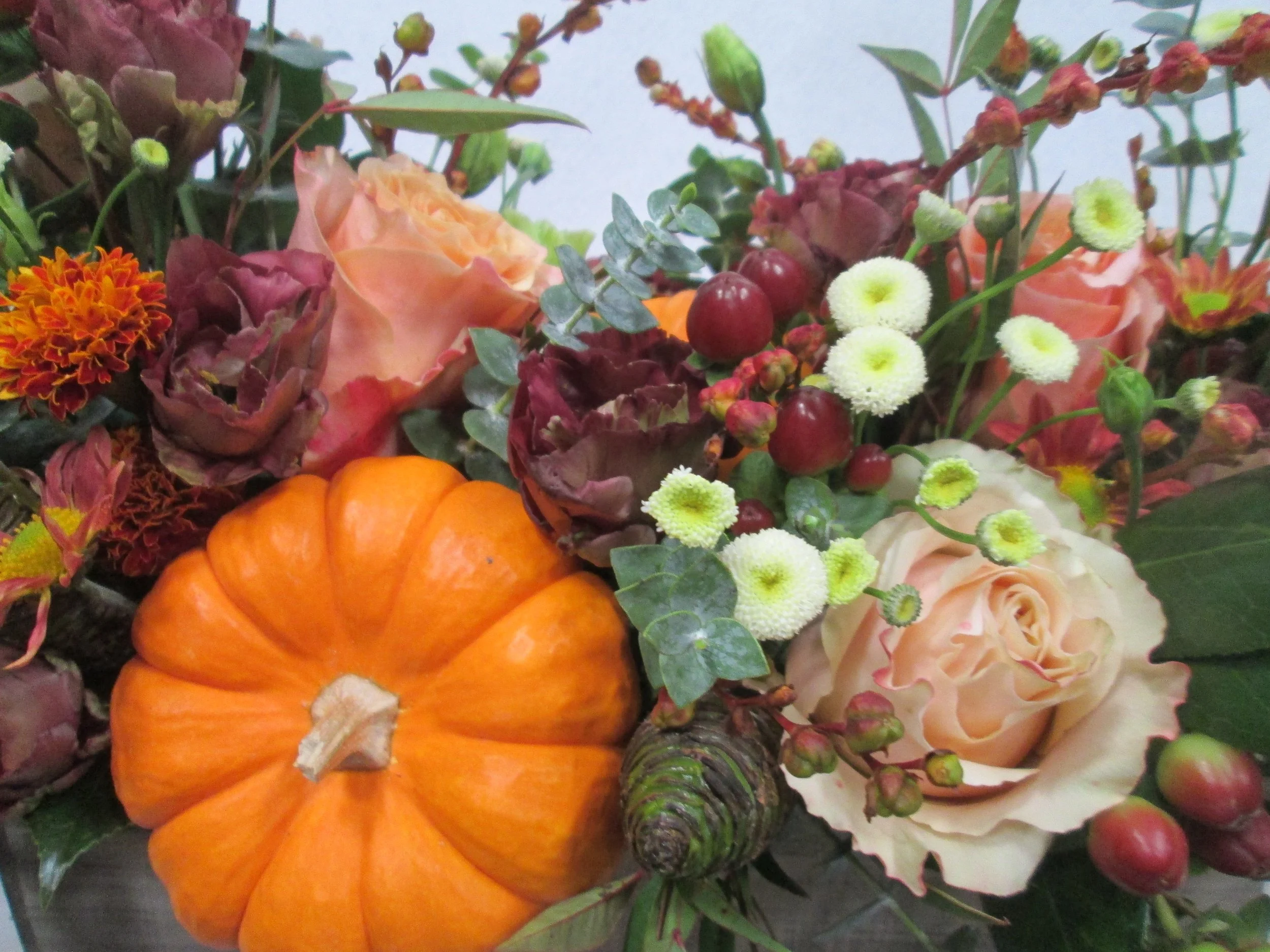 Autumn Crop.JPG